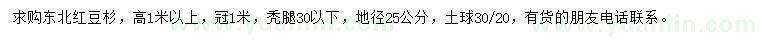 求購高1米以上東北紅豆杉