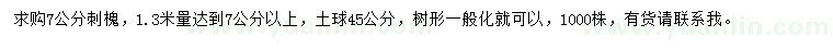 求購1.3米量7公分刺槐