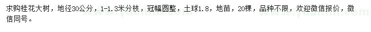 求購地徑30公分桂花