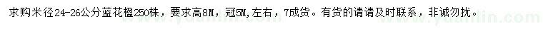 求購(gòu)米徑24-26公分藍(lán)花楹