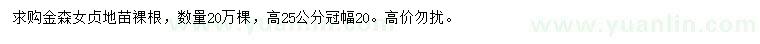 求購高25公分金森女貞