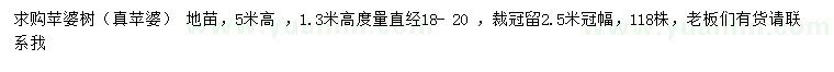 求購高5米蘋婆樹
