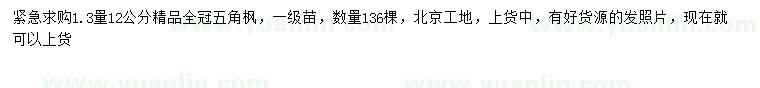 求購1.3量12公分五角楓