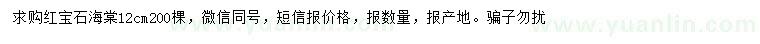 求購12公分紅寶石海棠