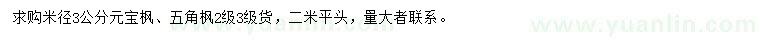 求購米徑3公分元寶楓、五角楓