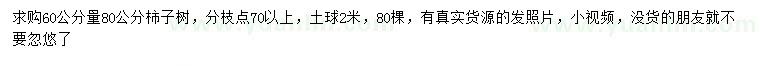 求購60公分量80公分柿子樹(shù)