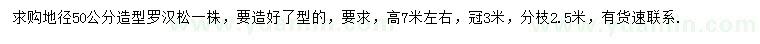 求購(gòu)地徑50公分造型羅漢松