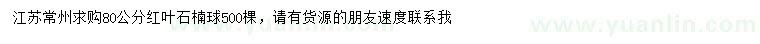求購80公分紅葉石楠球