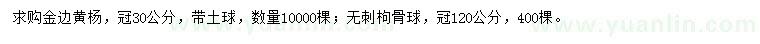 求購冠30公分金邊黃楊、冠120公分無刺枸骨球