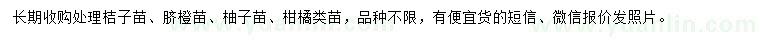 求購桔子苗、臍橙苗、柚子苗等