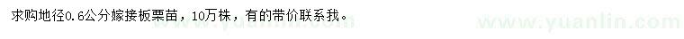 求購地徑0.6公分嫁接板栗苗