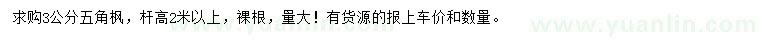 求購3公分五角楓