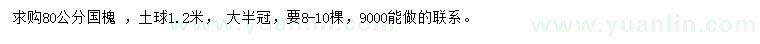 求購80公分國槐