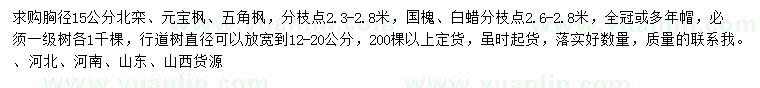 求購(gòu)北欒、元寶楓、五角楓等