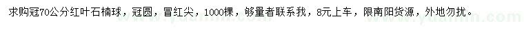 求購冠70公分紅葉石楠球