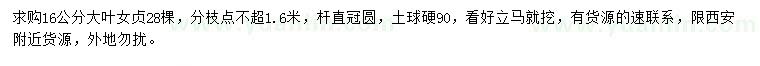 求購16公分大葉女貞