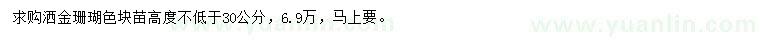 求購高度不低于30公分灑金珊瑚色塊苗
