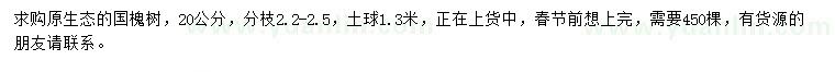 求購(gòu)20公分國(guó)槐