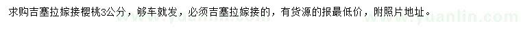 求購(gòu)3公分吉塞拉嫁接櫻桃