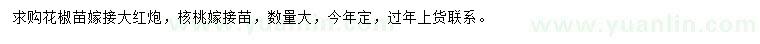 求購(gòu)核桃嫁接苗