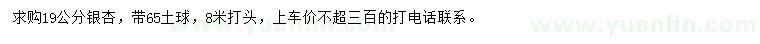 求購19公分銀杏