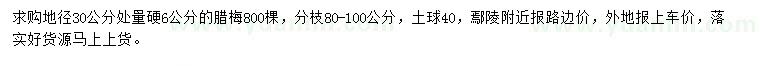 求購地徑30量硬6公分臘梅
