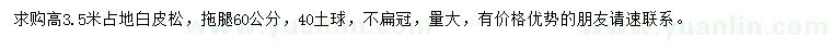 求購(gòu)高3.5米白皮松