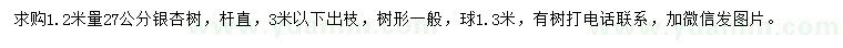 求購1.2米量27公分銀杏樹