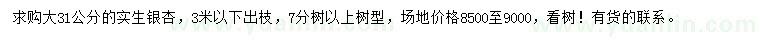 求購31公分銀杏