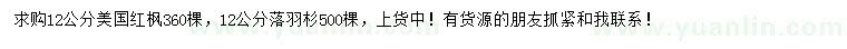 求購12公分美國紅楓、落羽杉