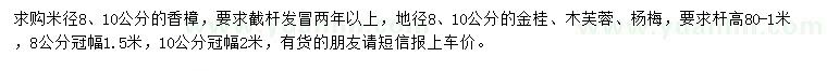 求購香樟、金桂、木芙蓉等