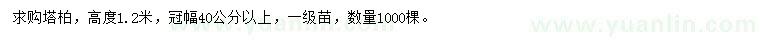 求購高度1.2米塔柏