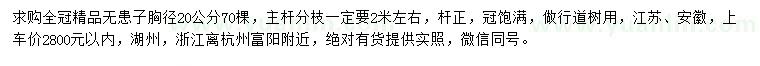 求購胸徑20公分無患子