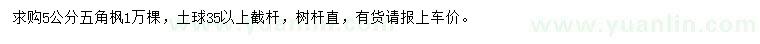 求購(gòu)5公分五角楓