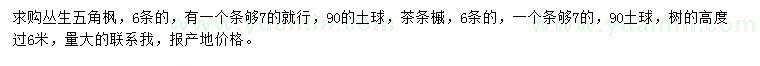 求購叢生五角楓、茶條槭