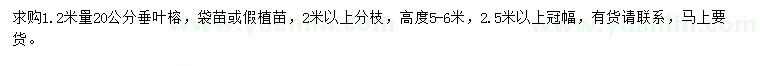 求購1.2米量20公分垂葉榕