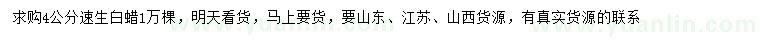 求購4公分速生白蠟
