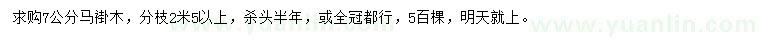 求購7公分馬褂木
