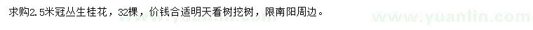 求購冠2.5米叢生桂花