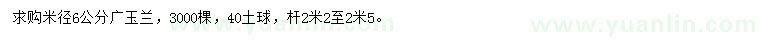 求購米徑6公分廣玉蘭