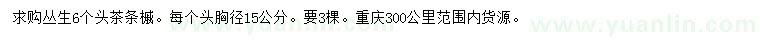 求購叢生茶條槭