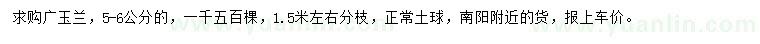 求購(gòu)5-6公分廣玉蘭