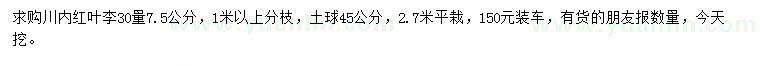 求購30量7.5公分紅葉李