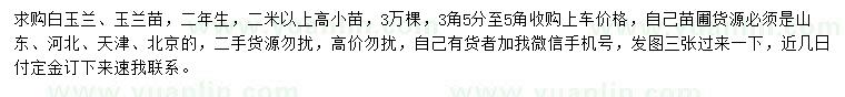 求購高2米以上白玉蘭、玉蘭苗小苗