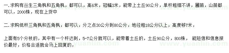 求購(gòu)高6米叢生三角楓、五角楓、地徑18公分以上低桿三角楓和五角楓