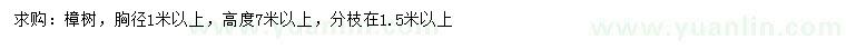 求購胸徑1米以上樟樹