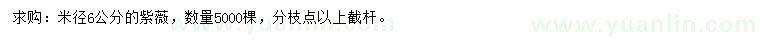 求購米徑6公分紫薇