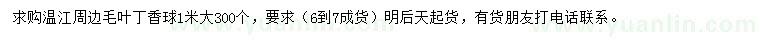 求購1米毛葉丁香球