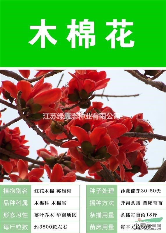 打造花海 農(nóng)家樂 旅游觀光 四季花海必備精品 木棉花