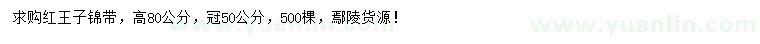求購高度80公分紅王子錦帶